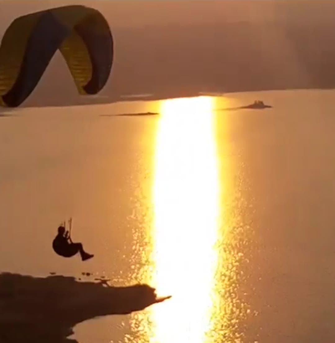 Pilots that you can trust